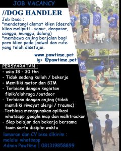 Lowongan Kerja Sebagai Dog Handler untuk Pawtime Penempatan di Denpasar