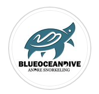 Blue Ocean Dive
