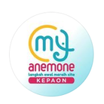 Anemone Kepaon