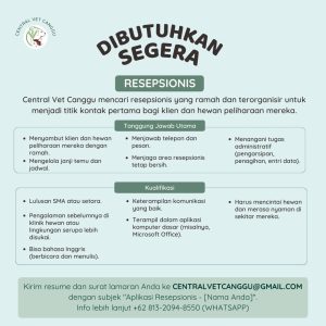 Lowongan Kerja Sebagai Resepsionis untuk Central Vet Canggu Penempatan di Canggu, Badung