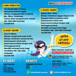 Lowongan Kerja Sebagai Web Operator, Shop Helper, Sales Admin untuk Bali Diveshop Penempatan di Sidakarya, Denpasar