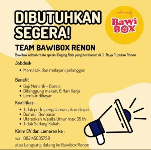 Lowongan Kerja Sebagai Team untuk Bawibox Renon Penempatan di Denpasar