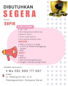 Lowongan Kerja Sebagai Supir untuk Costa Bali Penempatan di Denpasar