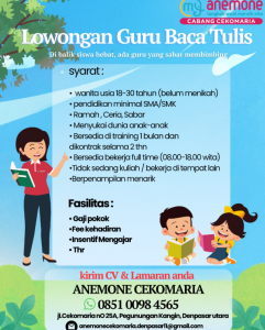Lowongan Kerja Sebagai Guru Baca Tulis untuk Anemone Cekomaria Penempatan di Denpasar