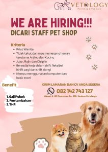 Lowongan Kerja Sebagai Staff Petshop untuk Vetology Pet Shop & Vet Care Penempatan di Kesiman, Denpasar