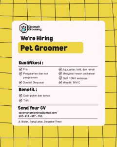 Lowongan Kerja Sebagai Pet Groomer untuk DJOEMAH Grooming Penempatan di Denpasar