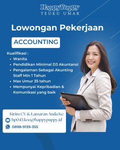 Lowongan Kerja Sebagai Accounting untuk Happy Puppy Penempatan di Denpasar