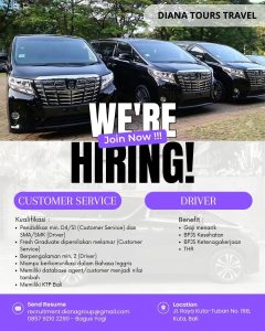 Lowongan Kerja Sebagai Customer Service dan Driver untuk Diana Tours Travels Penempatan di Tuban, Badung