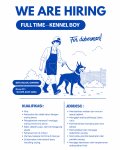 Lowongan Kerja Sebagai Kennel Boy Doberman untuk Penempatan di Batubulan, Gianyar