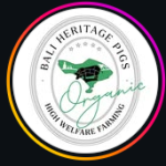 Bali Heritage Pigs