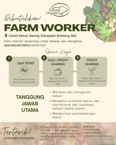 Lowongan Kerja Sebagai Farm Workder untuk Island Organics Bali Penempatan di Buleleng
