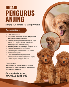 Lowongan Kerja Sebagai Pengurus Anjing untuk Penempatan di Canggu, Badung